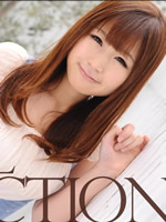 Model Collection : Shino Tanaka